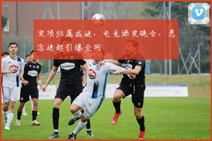 奖项归属成谜，电竞颁奖晚会，悬念迭起引爆全网