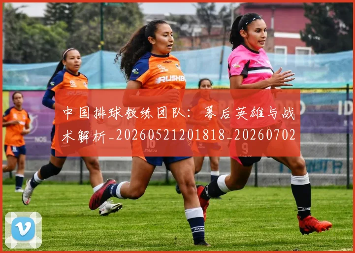 中国排球教练团队:幕后英雄与战术解析_20260521201818_20260702202301
