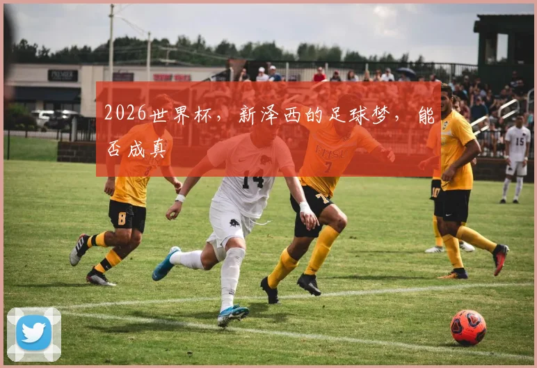 2026世界杯，新泽西的足球梦，能否成真